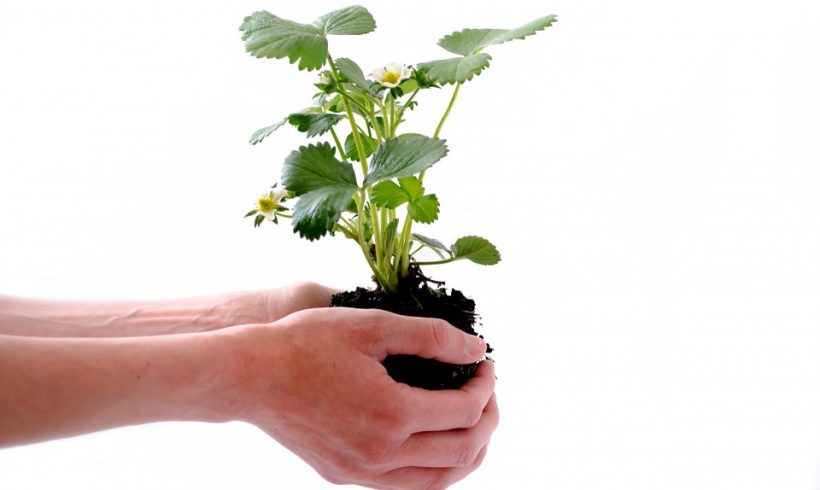 Persönlichkeitsentwicklung: sich verändern (3) Persönlichkeitsentwicklung: sich verändern (3)